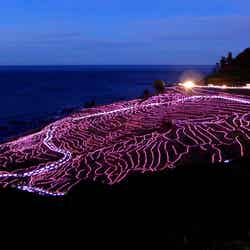 輪島・白米千枚田/画像提供:輪島市