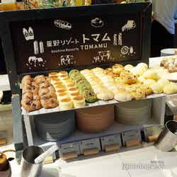 星野リゾート トマム(C)モデルプレス