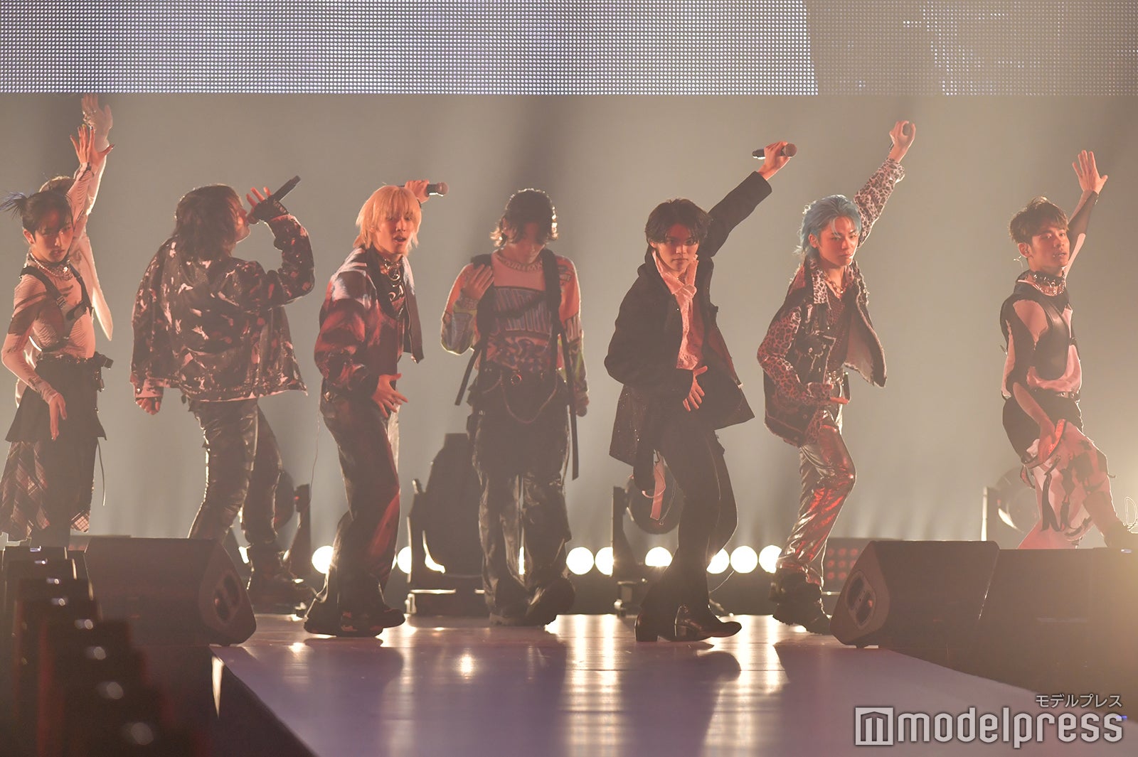 XY（C）モデルプレス