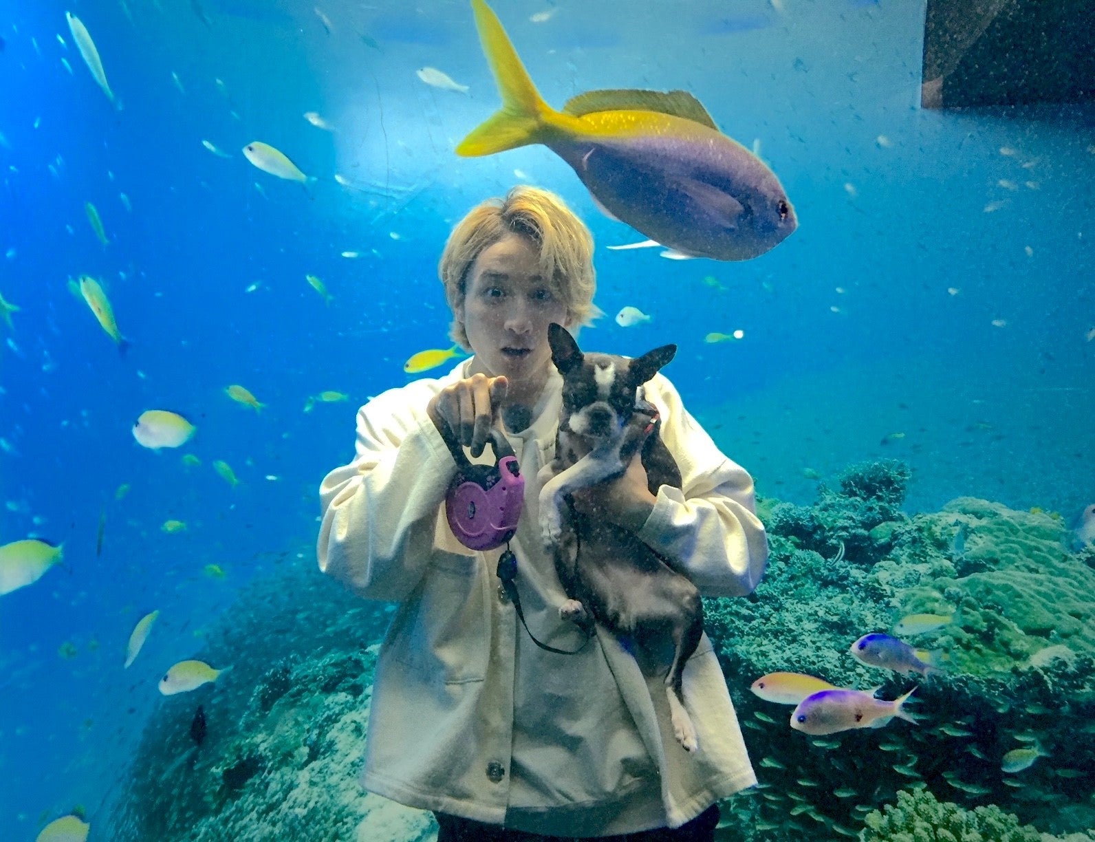 小関裕太＆峰不二子が水族館デート （C）NHK