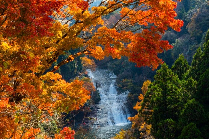 養老渓谷・粟又の滝の紅葉