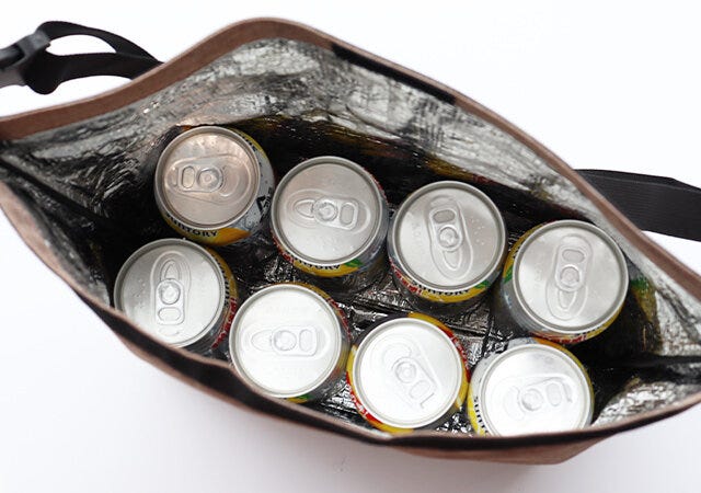 付録　ムック　スヌーピー　保冷バッグ　収納　サイズ　冷たい物　持ち運び