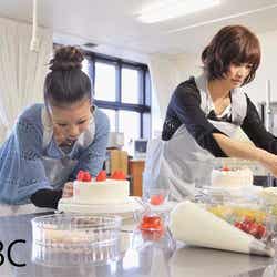 あびる優、大島麻衣/「新発見!告白パワースポットツアー」(TBS系)より