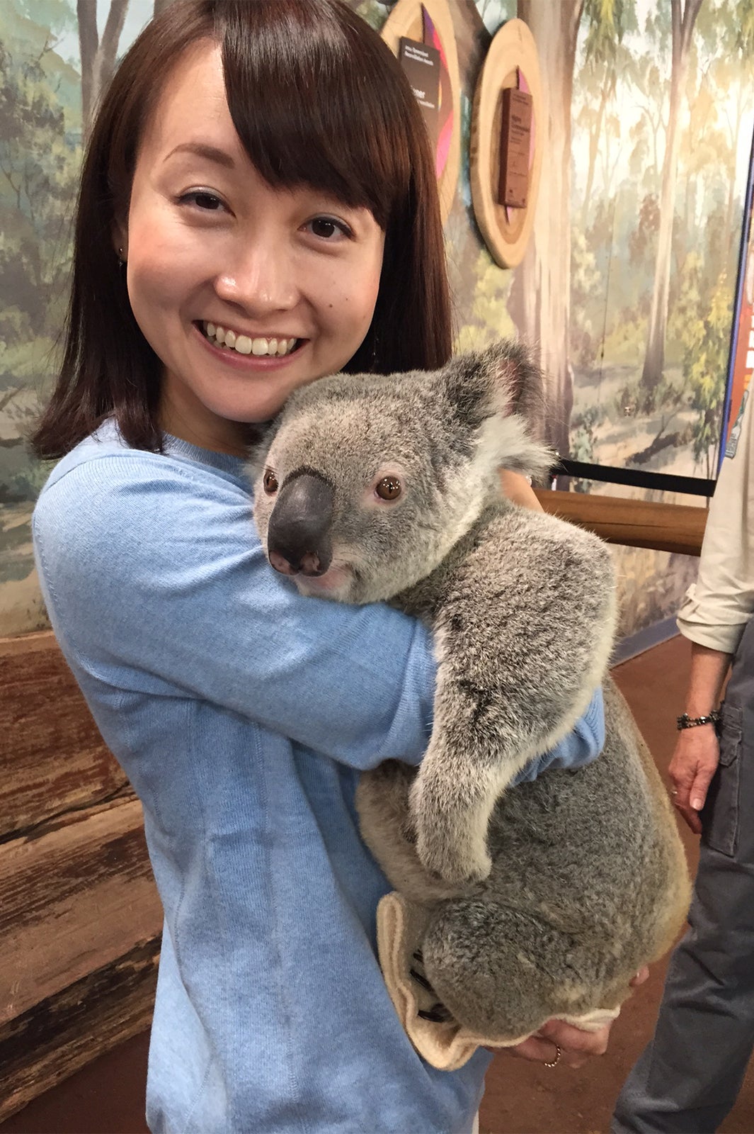 観光スポット満載！クイーンズランド州を体感しよう！