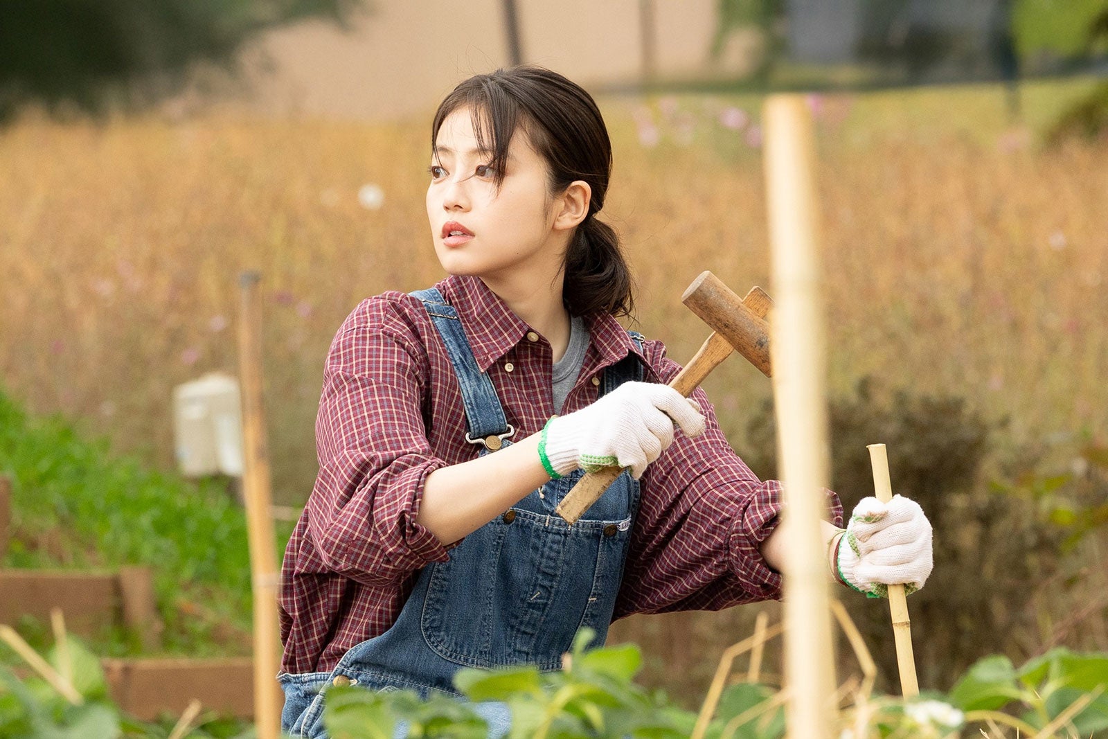 今田美桜（提供写真）