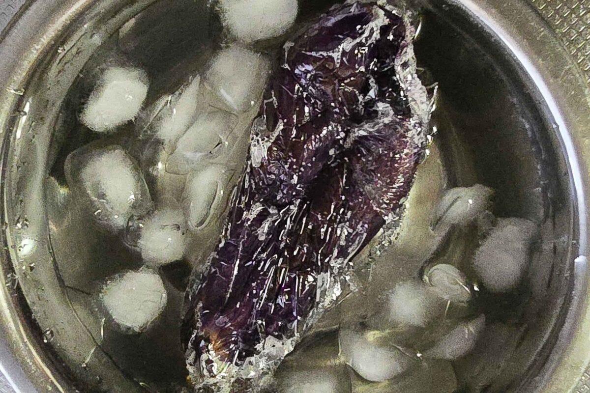 とろナス柚子胡椒つけダレそうめん