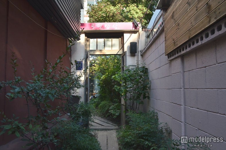 ピンクの看板が目印