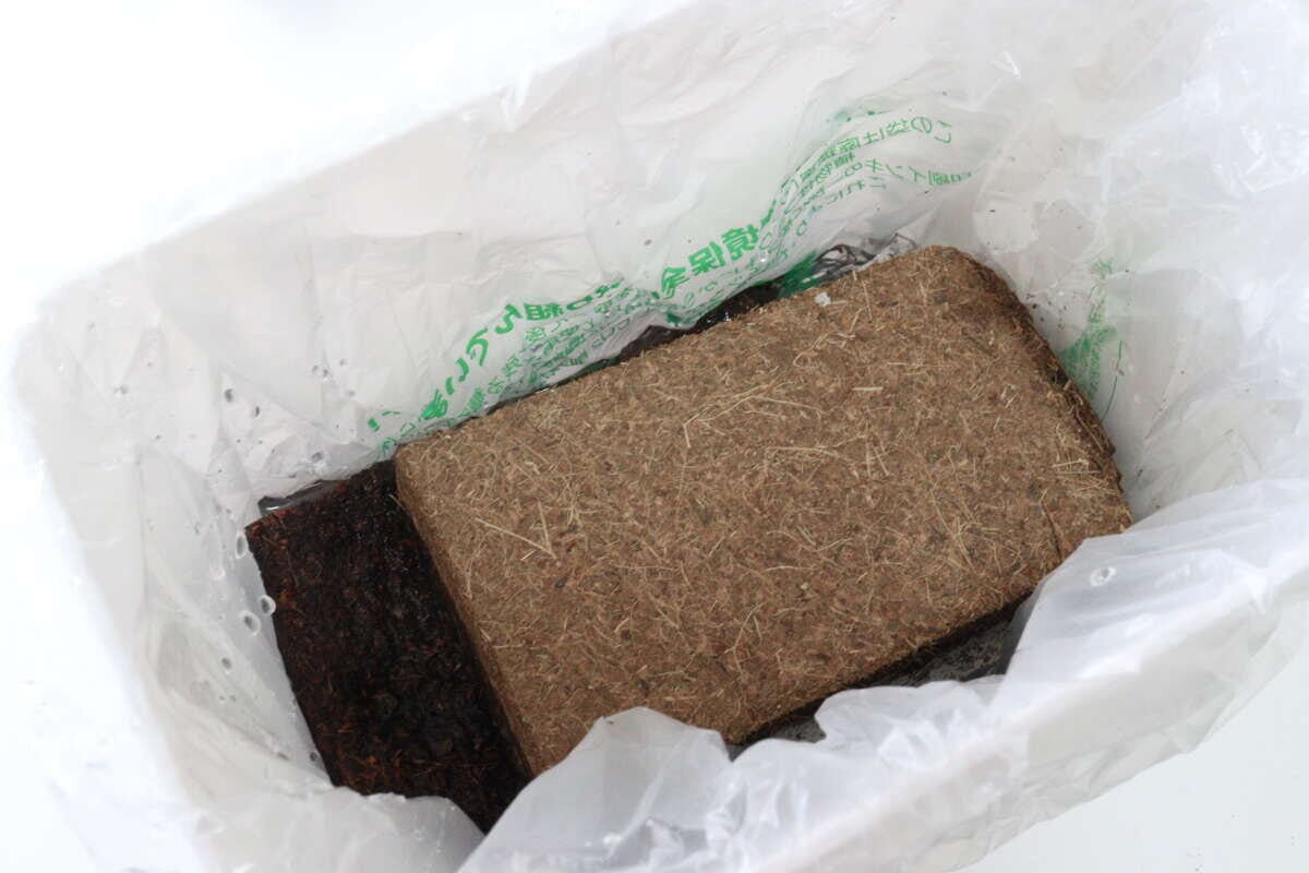 ダイソー　水で増える園芸土