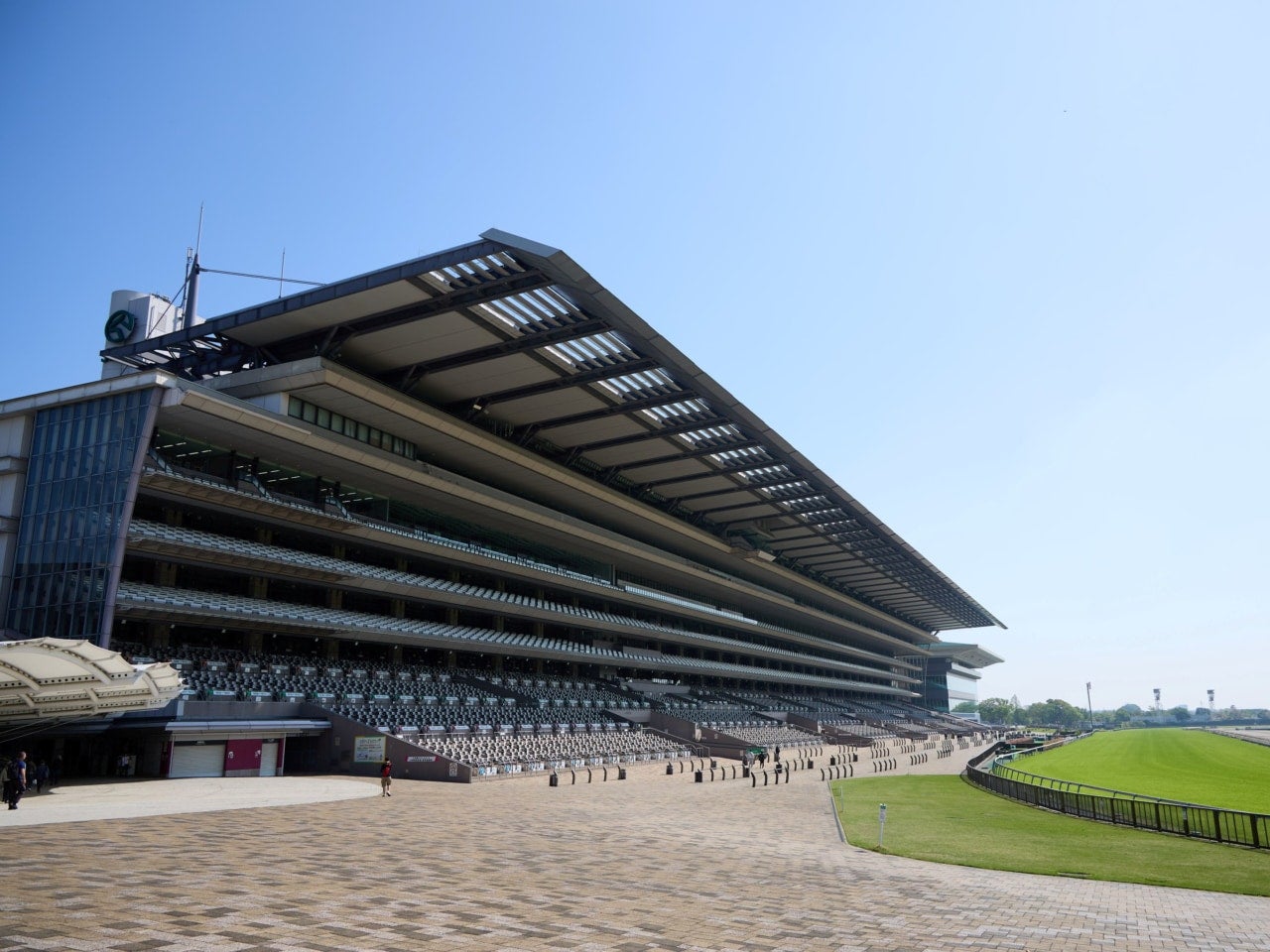秋競馬を楽しもう！ ウマ活初心者のための「秋のG1」見どころガイド