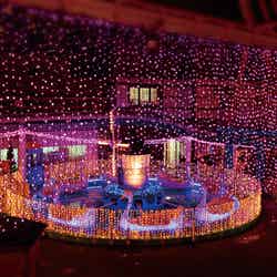 アトラクション10機種が乗り放題に/画像提供:浅草花やしき