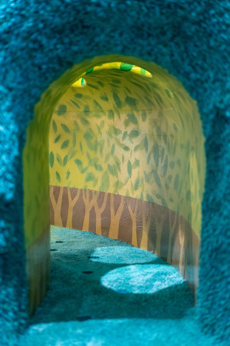 （C）Studio Ghibli