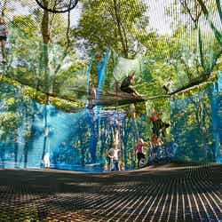 “森の空中遊び場”「パカブ」神奈川に日本初上陸　世界最大級のレジャー空間で吊り橋や迷路を満喫（C）Denis Gliksman