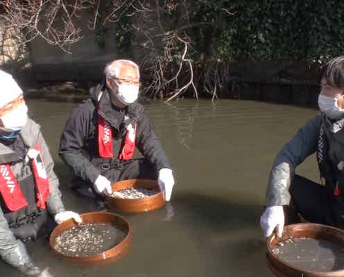 日テレ退社の桝太一アナ、TOKIO城島茂からの影響明かす 今後の「DASH海岸」出演にも言及