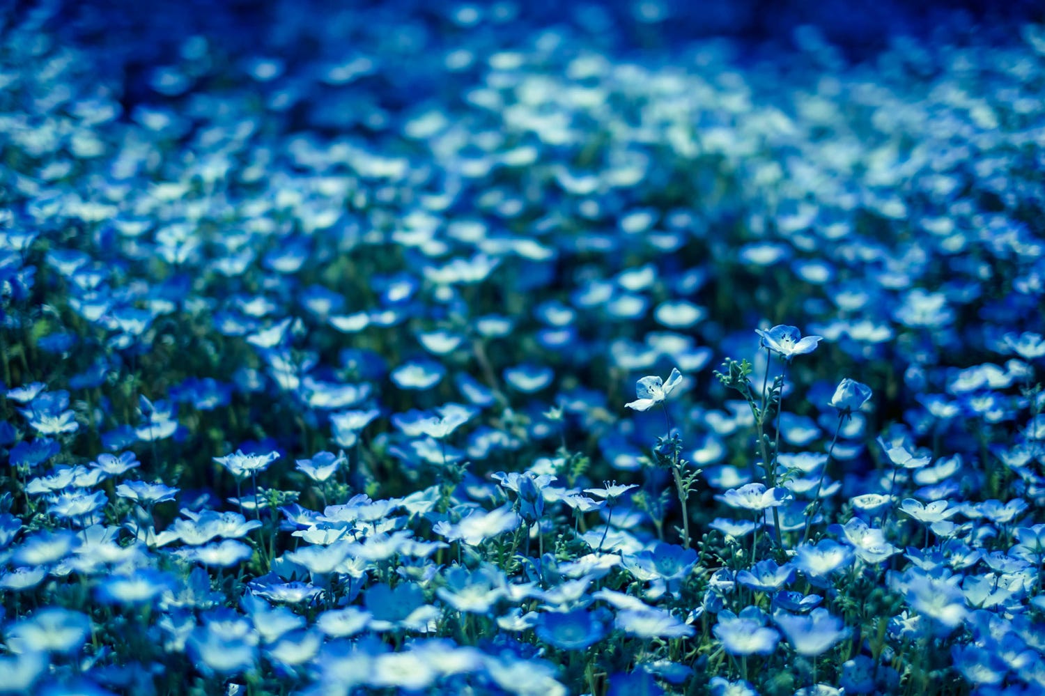 週末何する?次の休みに行くお出かけスポット9選vol.74