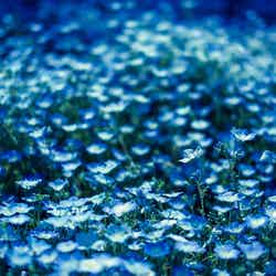 週末何する?次の休みに行くお出かけスポット9選vol.74/写真素材ぱくたそ