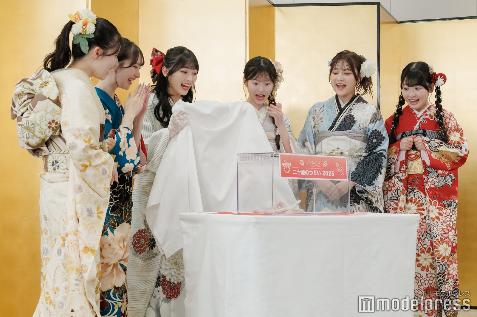 ハクさんに驚く正鋳真優、山崎空、佐藤綺星、八木愛月、鈴木くるみ、布袋百椛（C）モデルプレス