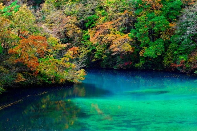 奥四万湖／画像提供：株式会社マーシャル・コミュニケーションズ