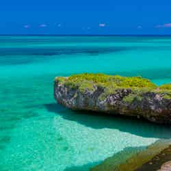 沖縄の美しい海と豊かな自然の保全にも努めている（提供画像）