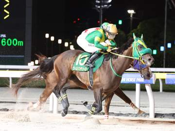 【地方競馬】船橋・かしわ記念 ウィルソンテソーロが3回目のJpn1制覇 首差制して2着続き返上