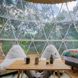 Morethann Paradise/提供画像