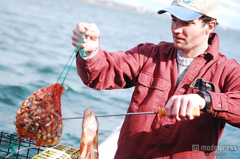 釣り師から直接港で買い付け／画像提供：ベイクルーズ