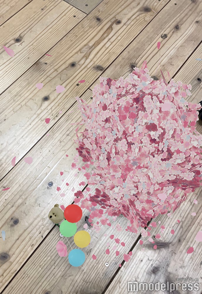 ARイメージ（C）モデルプレス