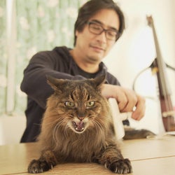 ネコ派の向井理、ちょっと泣きそうに…『ネコメンタリー』岸政彦と18歳の愛猫にスポット