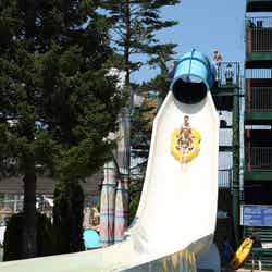 アドベンチャーラグーン/画像提供:東京サマーランド