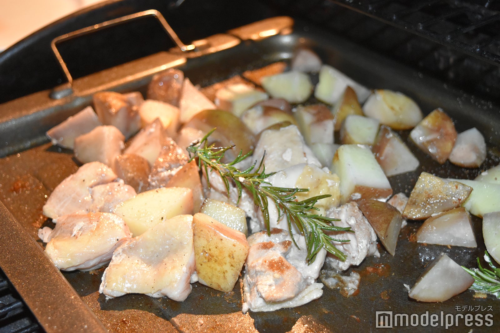 Dot Glamping 富士山（C）モデルプレス