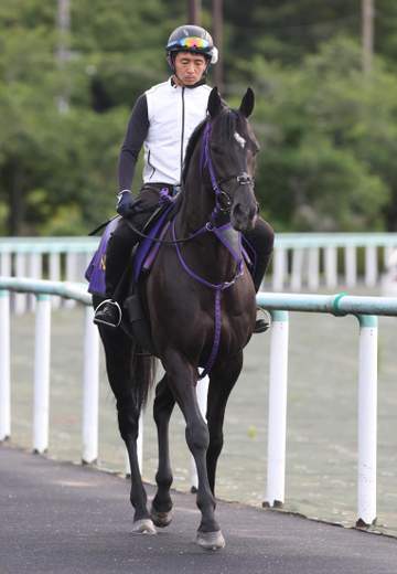 【安田記念】トロヴァトーレ 大外8枠17番も歓迎 鹿戸師「自分のリズムで走れる」