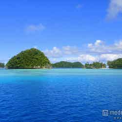 パラオ・ロックアイランド/photo by mattk1979