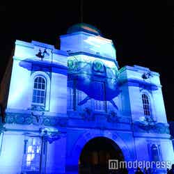 大きなウミガメが優雅に泳ぐ(C)モデルプレス