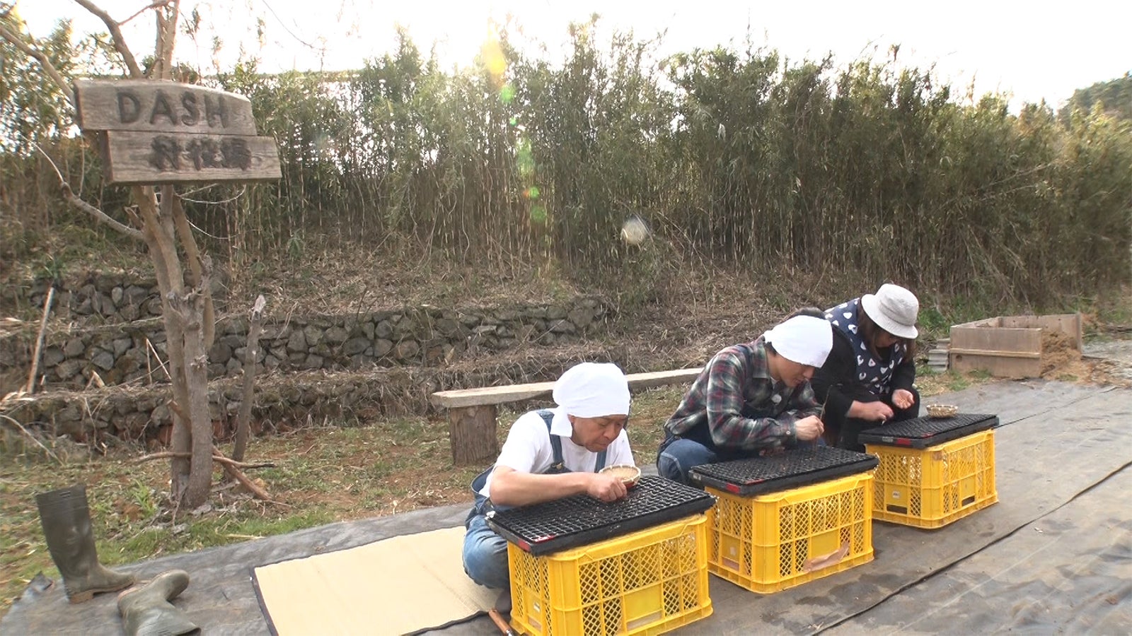 （C）日本テレビ