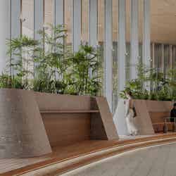 ブルーボトルコーヒー 高輪カフェ/提供画像