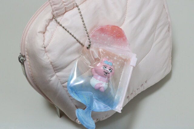 ダイソー　スライダーケース（かき氷）　使用例　バッグ