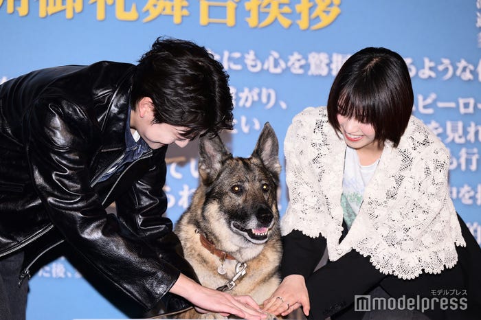 犬のさくらと戯れる高橋文哉、西野七瀬(C)モデルプレス