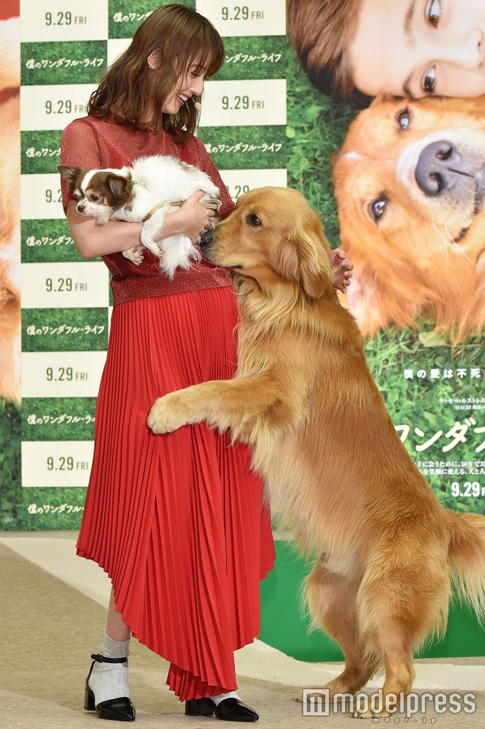 佐々木希 運命の出会いを語る 愛犬 マロン と登場 僕のワンダフル ライフ モデルプレス