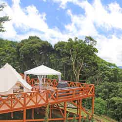 マザー牧場 グランピング THE FARM「スカイグランテラス」 (提供画像)