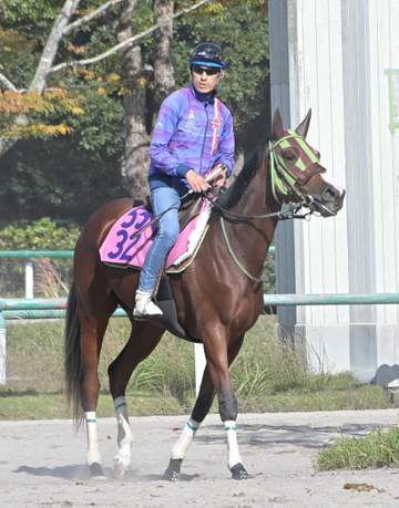 【アルテミスS】ホウオウプレマ 一族の期待背負い重賞V狙う 伯父は18年有馬記念覇者ブラストワンピース
