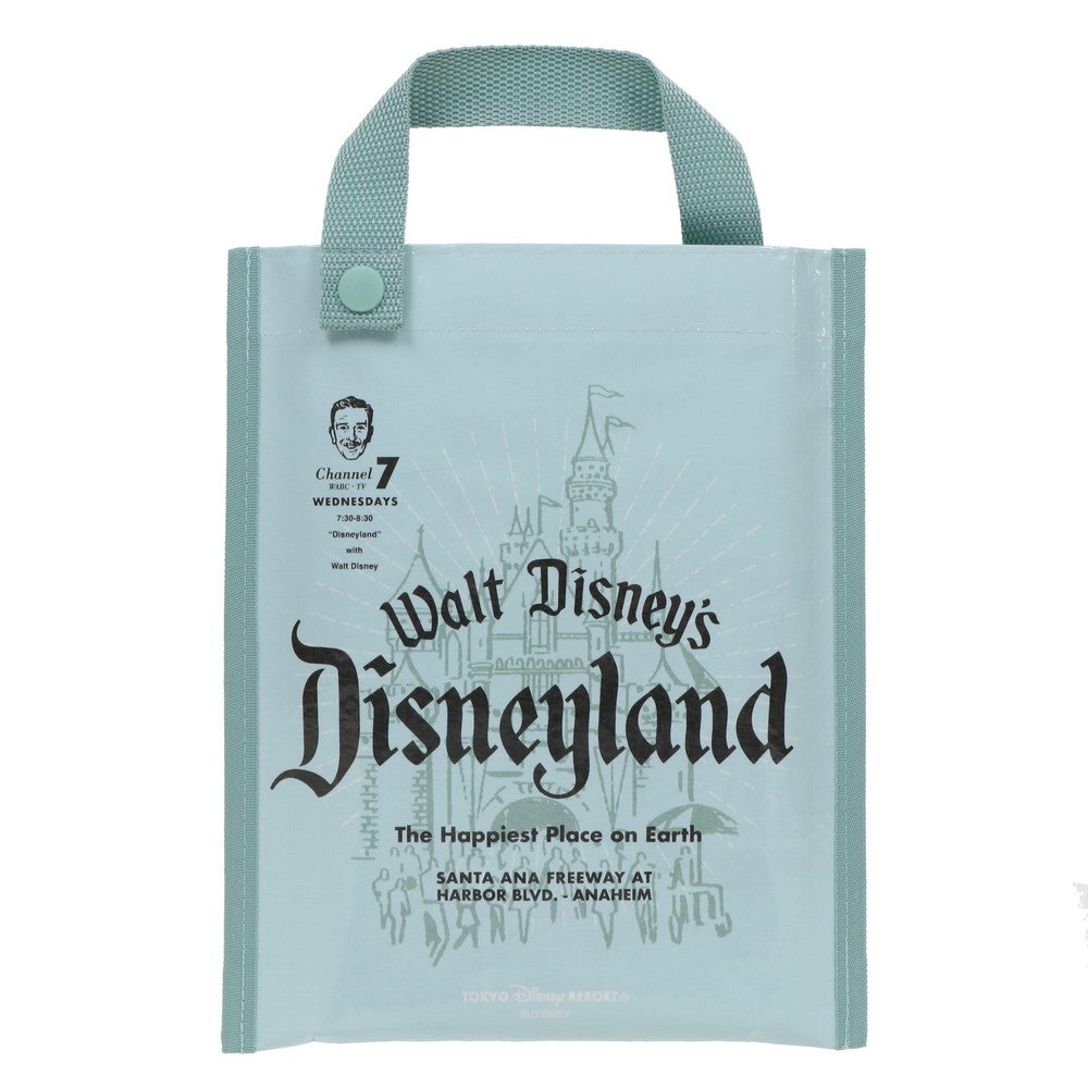 レジャーシート¥750（C）Disney