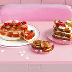 Strawberry School Life/提供素材