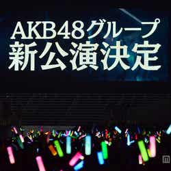 「AKB48 2013 真夏のドームツアー~まだまだ、やらなきゃいけないことがある~」東京ドーム公演2日目より