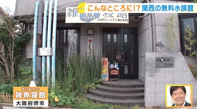 【大阪】見られるのは月に1日だけ！カフェも併設された「無料の特化型水族館」