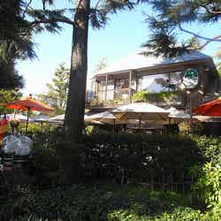 「HIBIYASARO」/HIBIYASAROH by kobakou