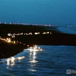 illumination land/画像提供:スマートイルミネーション横浜実行委員会