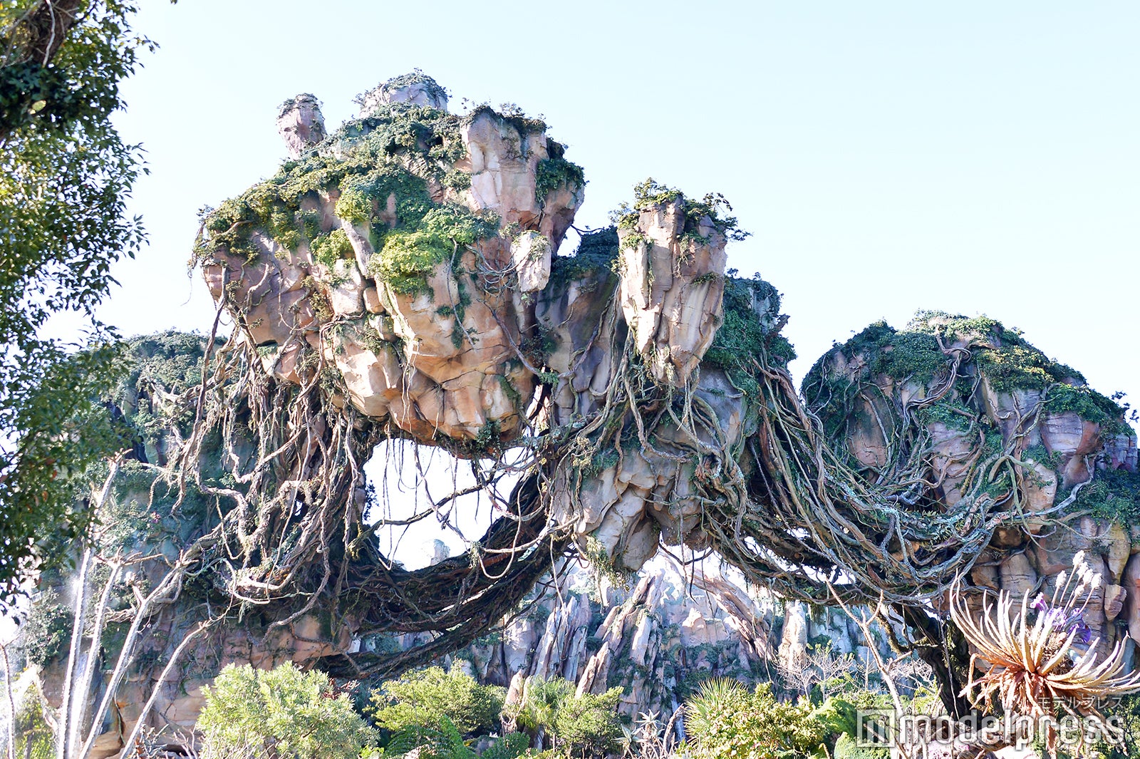 「パンドラ：ザ・ワールド・オブ・アバター」（C）モデルプレス（C）Fox（C）Disney