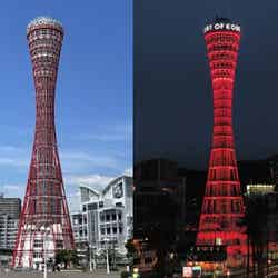 日中の神戸ポートタワーとライトアップされた神戸ポートタワー/提供画像