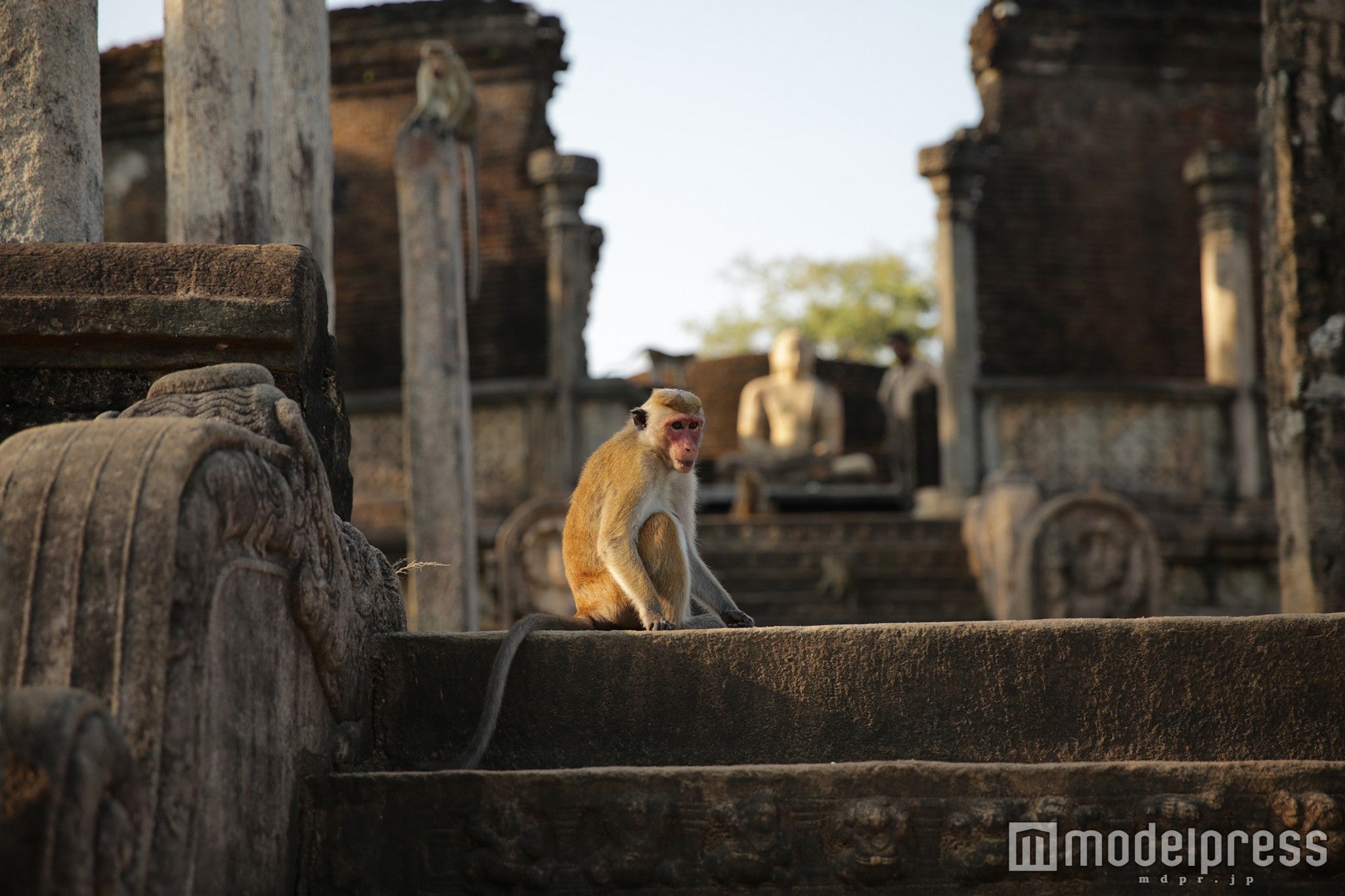 新プログラム「モンキーキングへの道」／画像提供：セガ・ライブクリエイション