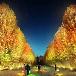 画像提供:ネイキッド