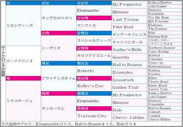 【フェブラリーS】ロードクロンヌ 強いこだわりで設計されたキングマンボのクロス 母・リラコサージュ譲りのパワーに期待